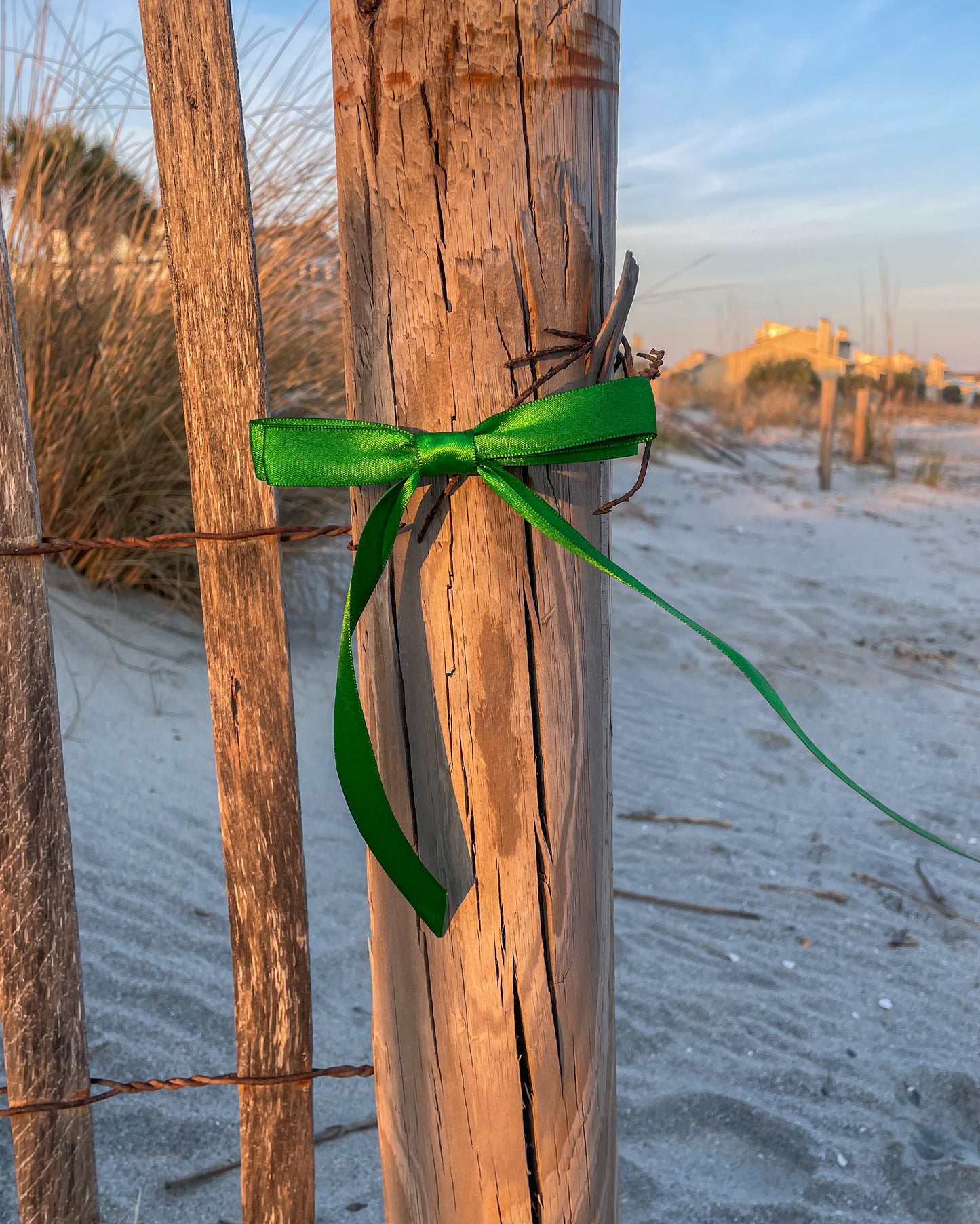 Green bow