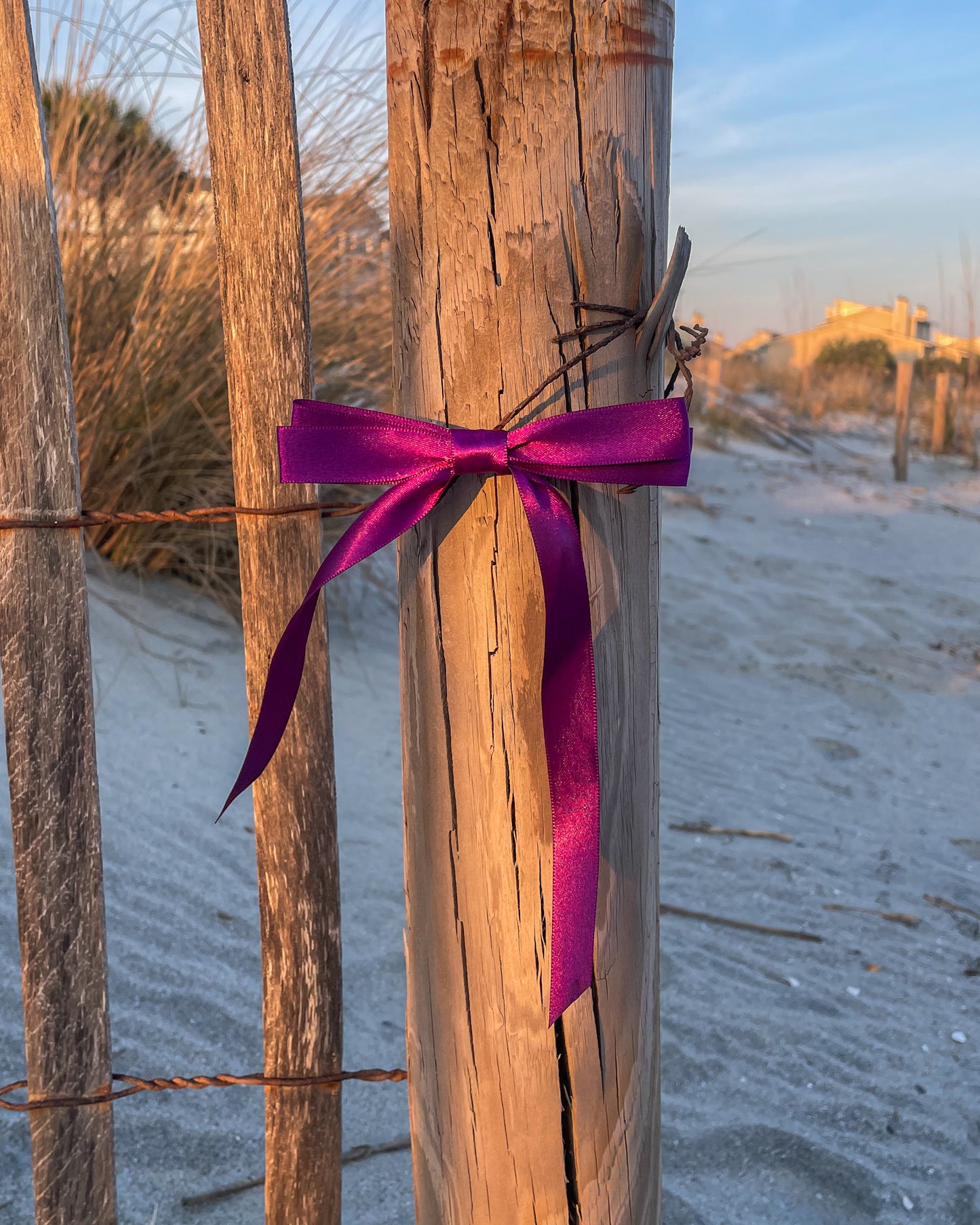 Purple bow
