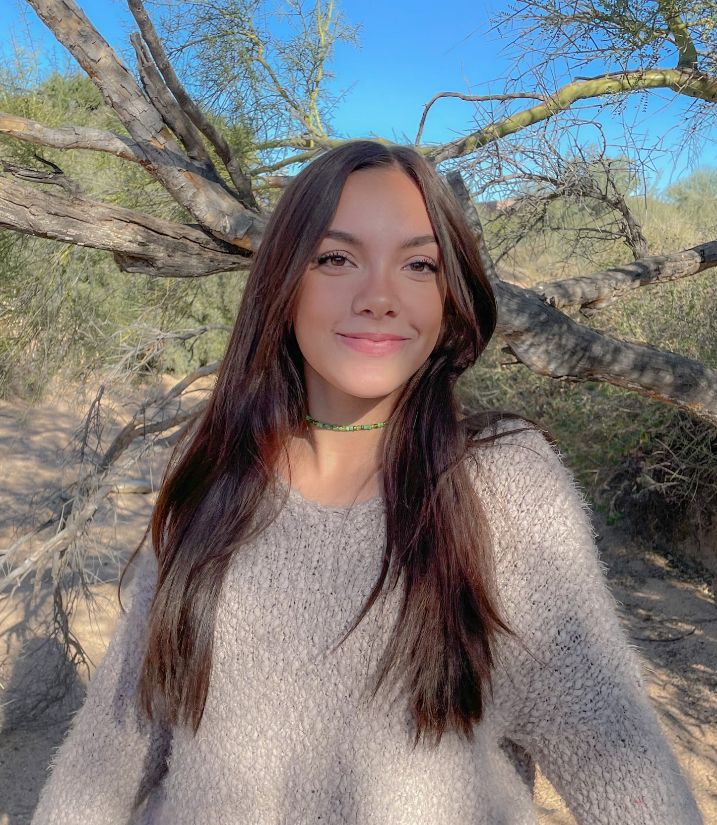 Turtle neck necklace